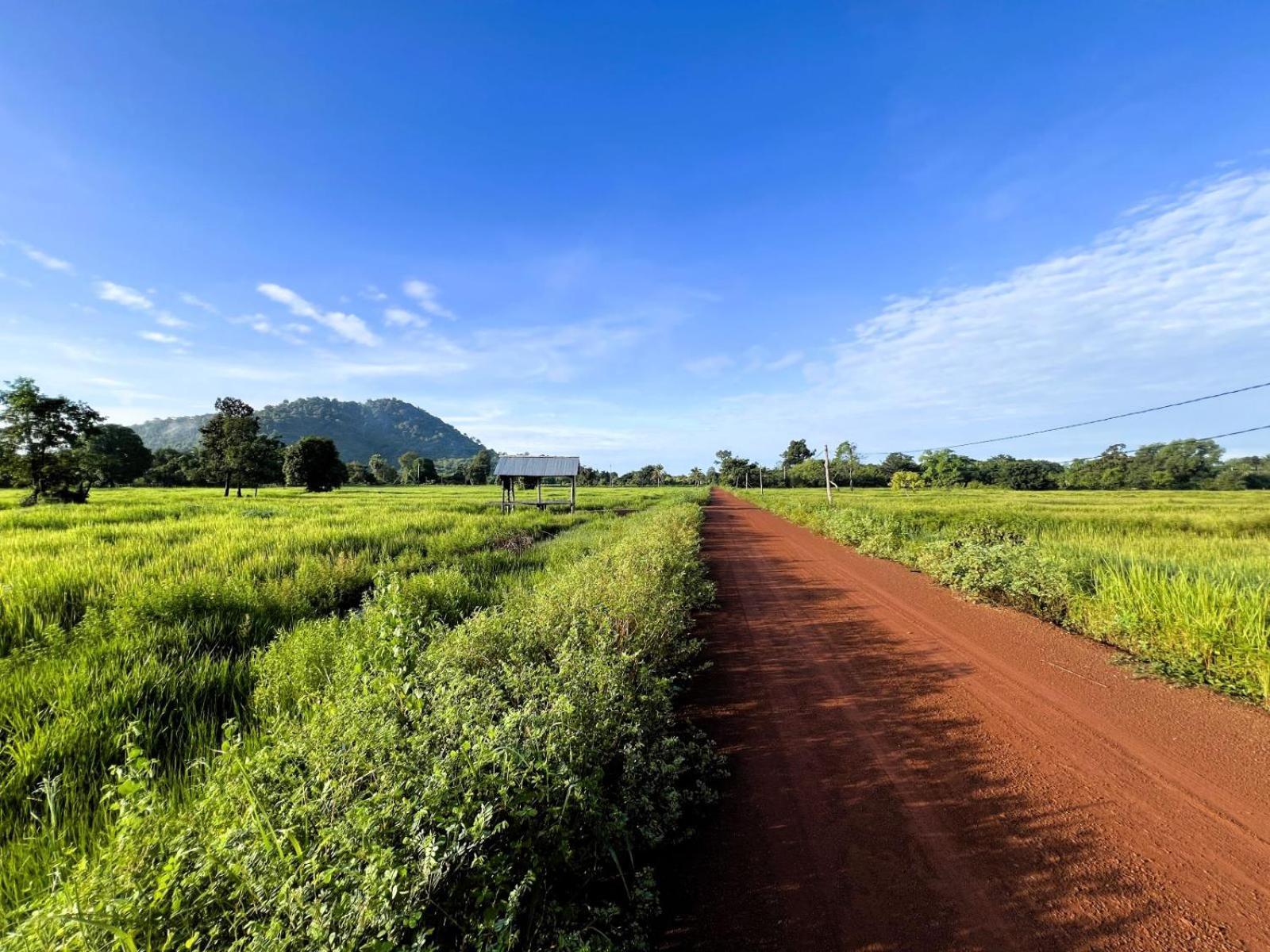 The Little Vegan Homestay Phumi Banteay Srei Екстер'єр фото